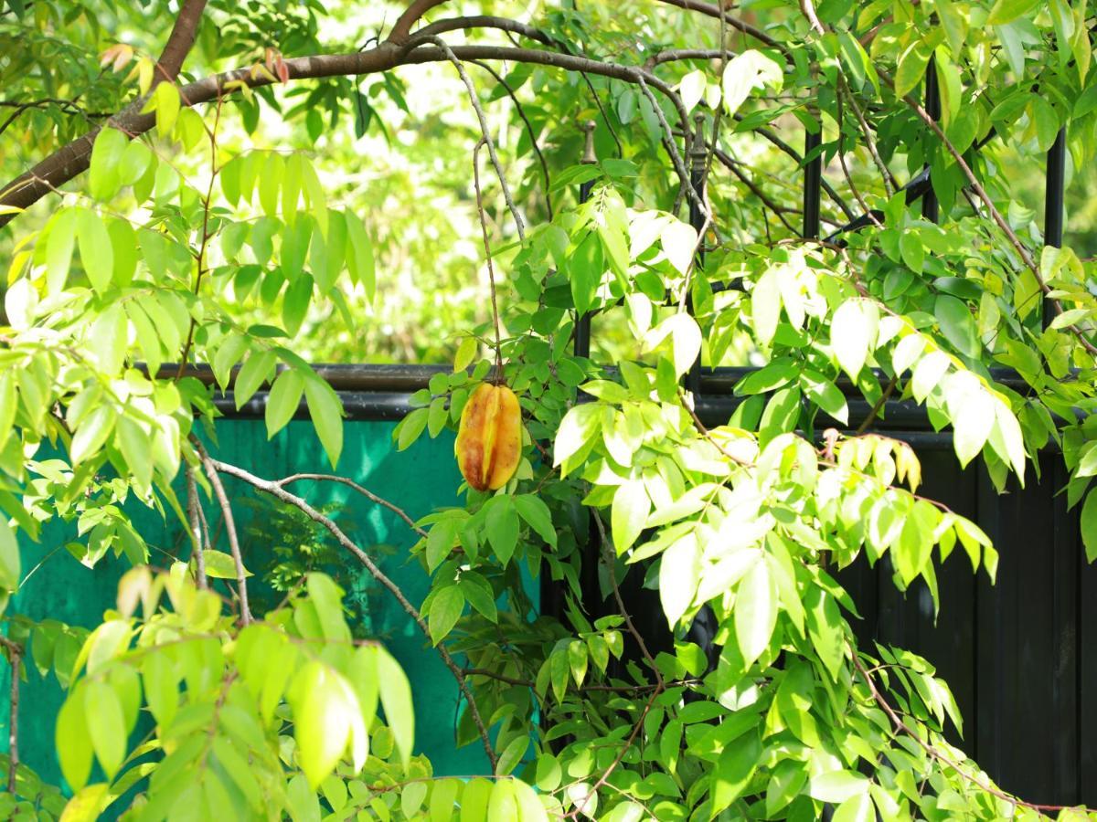 Ruwan Villa Ahangama Exteriör bild